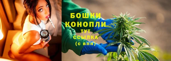 дмт Россошь
