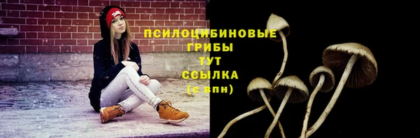 гидра Рославль