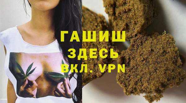 гидра Рославль