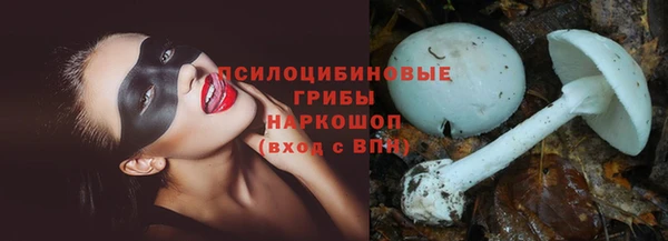 гидра Рославль