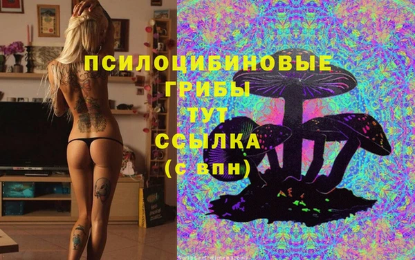гидра Рославль