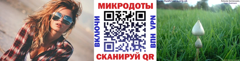 Псилоцибиновые грибы ЛСД  купить  сайты  Фёдоровский 